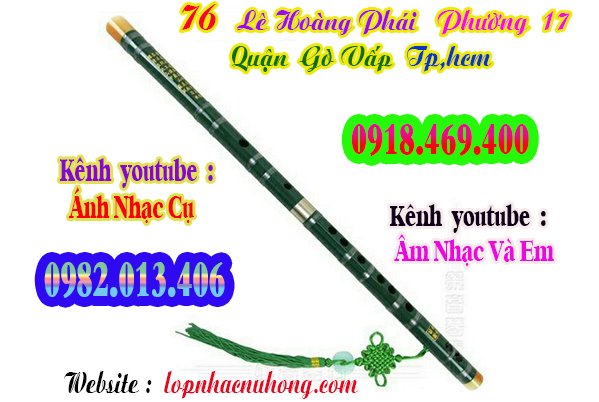 sao-dizi-truc-tim (1).jpg