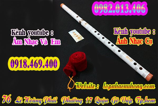 sao-dizi-truc-tim (3).jpg