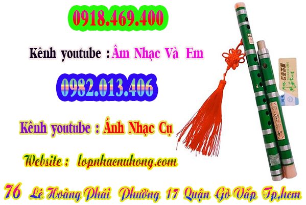 sao-dizi-truc-tim (5).jpg