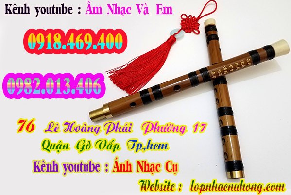 sao-dizi-truc-tim (8).jpg