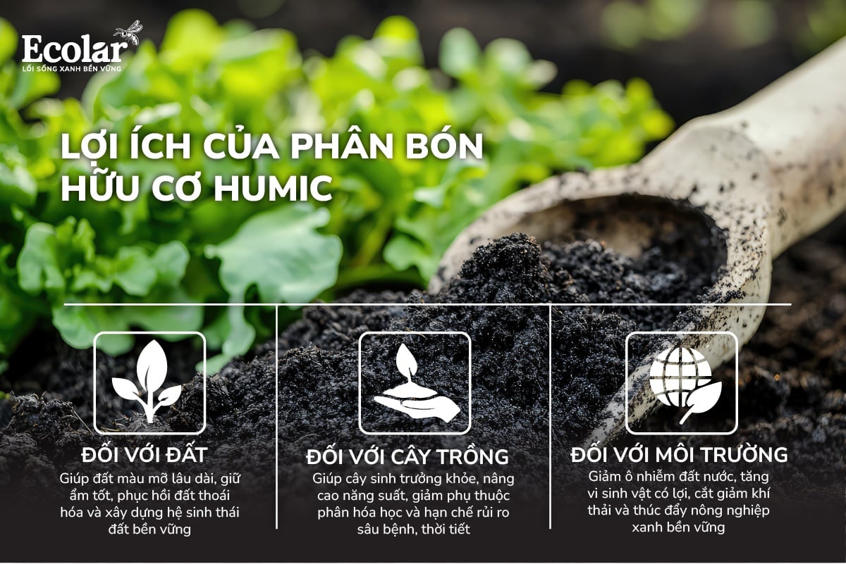 lợi ích humic.jpg