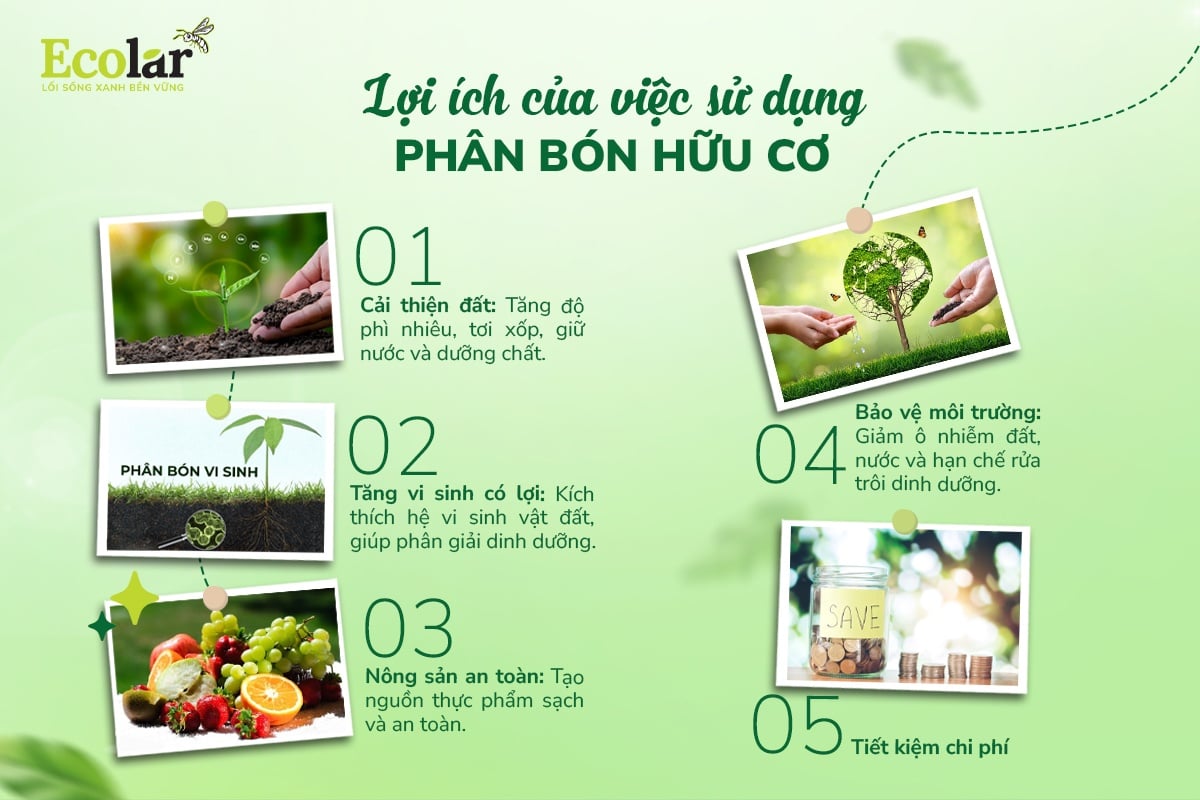 lợi ích4.jpg