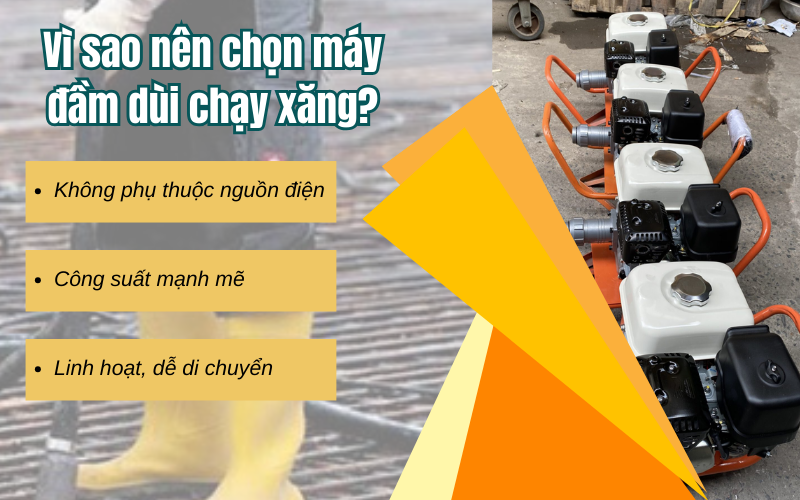 Vi-sao-nen-chon-may-dam-dui-chay-xang.png