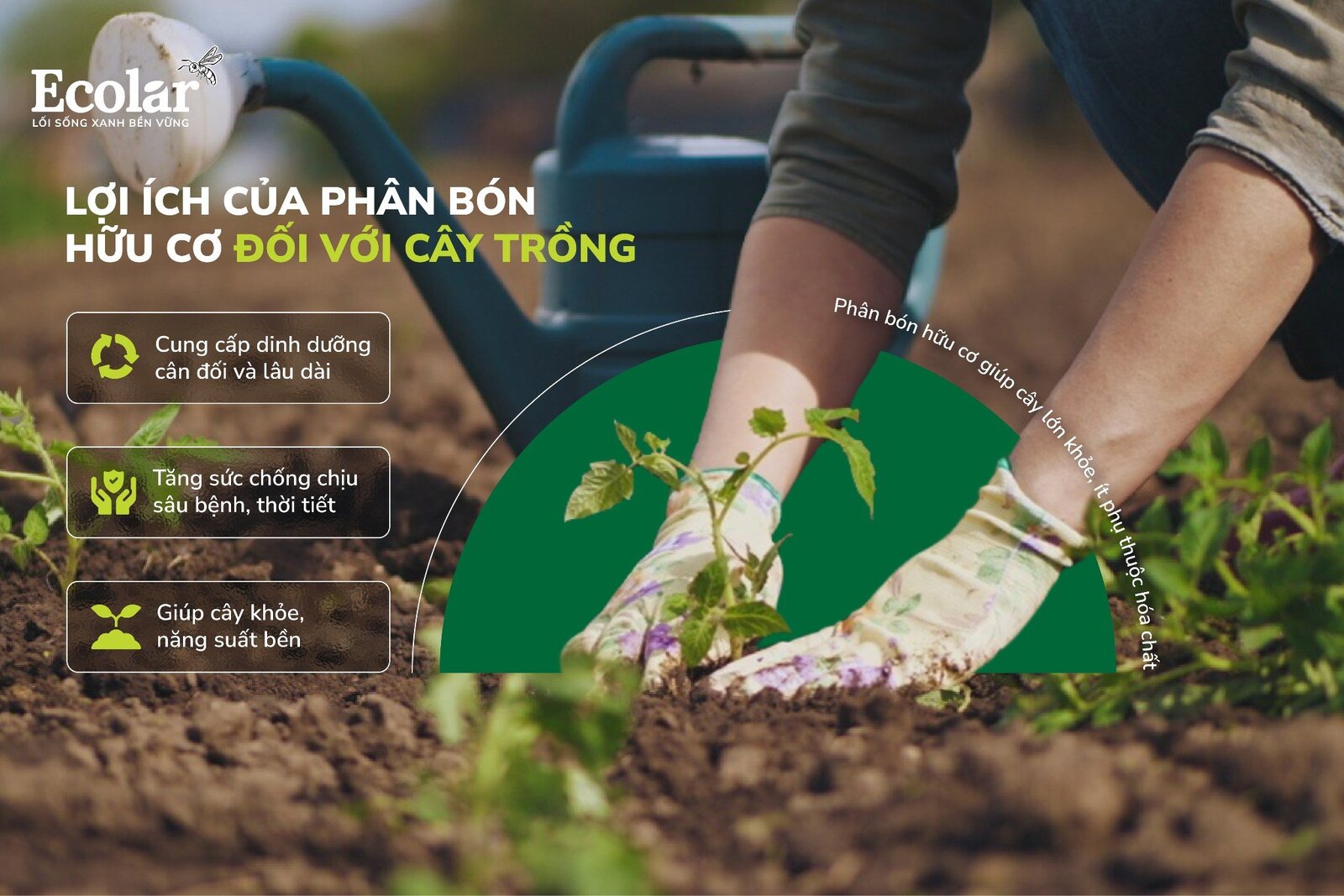 lợi ích với cây trồng.jpg