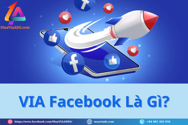VIA-Facebook-La-Gi.png