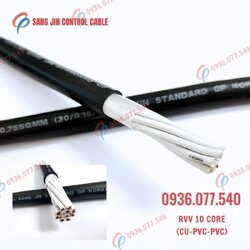 Sangjin rvv_10C (2).jpg