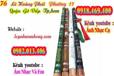 sao-dizi-truc-tim (2).jpg