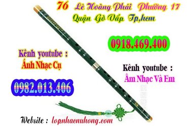 sao-dizi-truc-tim (1).jpg