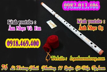 sao-dizi-truc-tim (3).jpg