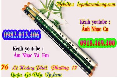 sao-dizi-truc-tim (4).jpg