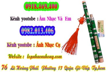 sao-dizi-truc-tim (5).jpg