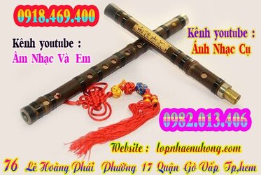 sao-dizi-truc-tim (6).jpg