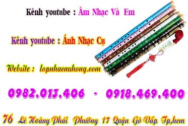 sao-dizi-truc-tim (7).jpg