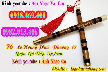 sao-dizi-truc-tim (8).jpg