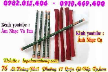 sao-dizi-truc-tim (9).jpg