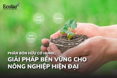 humic.jpg