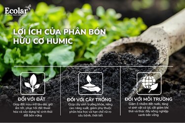 lợi ích humic.jpg