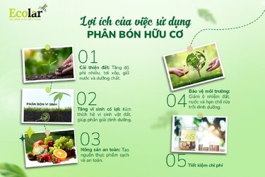 lợi ích4.jpg