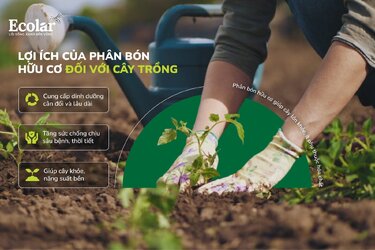 lợi ích với cây trồng.jpg