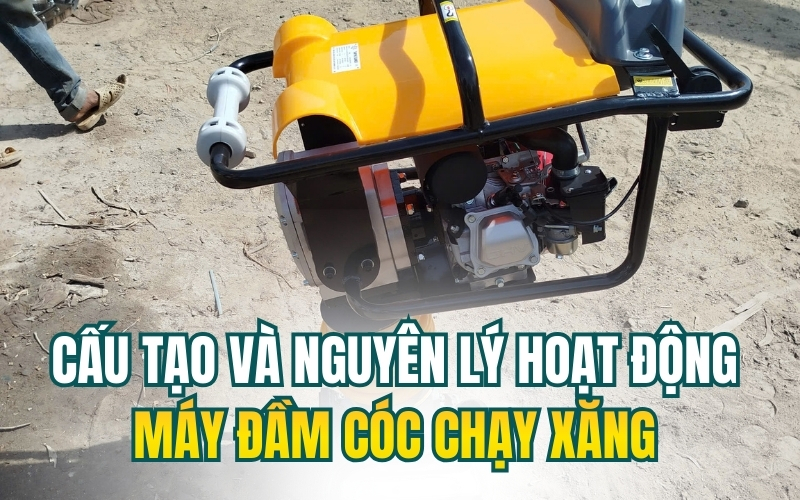 cau-tao-va-nguyen-ly-hoat-dong-may-dam-coc-chay-xang.jpg