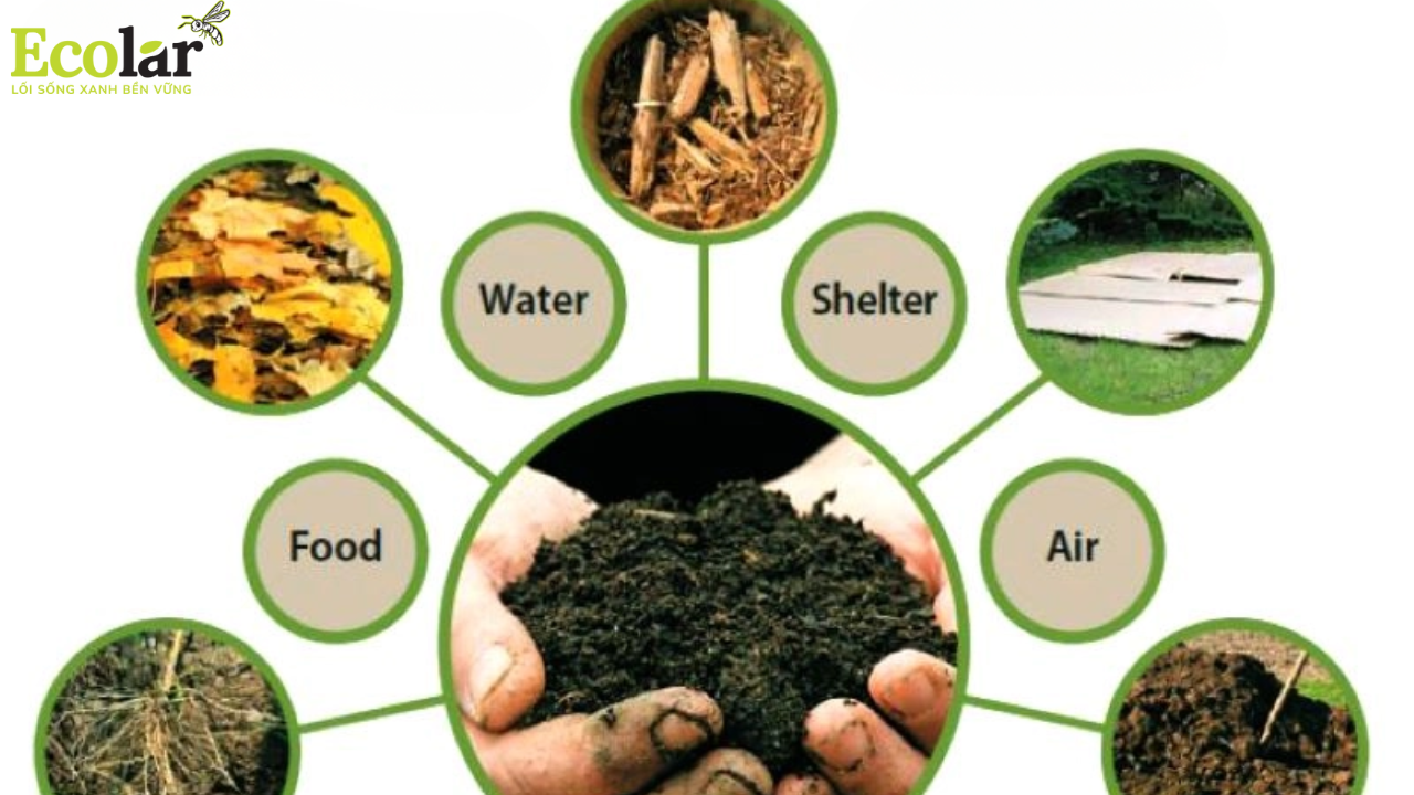 Chất hữu cơ trong đất.png