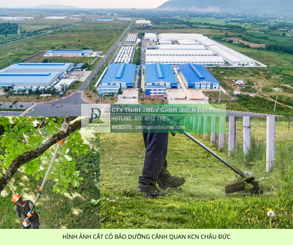 dịch vụ cắt cỏ kcn châu đức 2.jpg