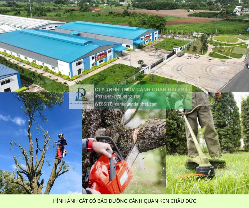 dịch vụ cắt cỏ kcn châu đức 3.jpg