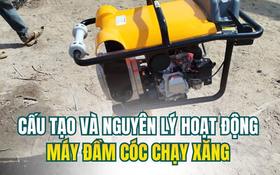 cau-tao-va-nguyen-ly-hoat-dong-may-dam-coc-chay-xang.jpg