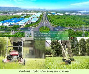 dịch vụ cắt cỏ kcn châu đức 1.jpg