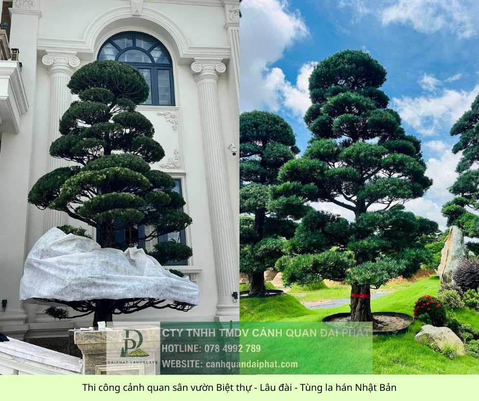 thi công cảnh quan sân vườn biệt thự - lâu đài 5.jpg