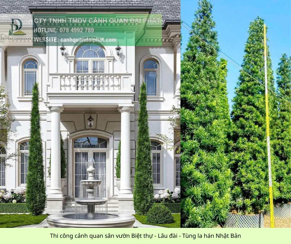 thi công cảnh quan sân vườn biệt thự - lâu đài 6.jpg