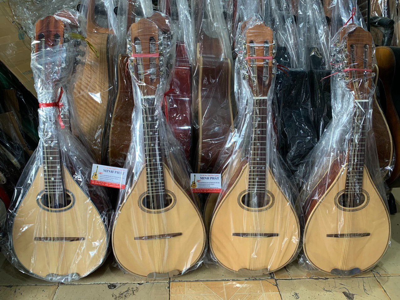 ban-dan-mandolin-tphcm (3).jpg