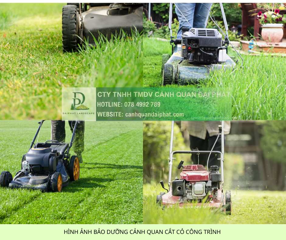 cắt cỏ nhà máy kcn chuẩn 5S, ISO 45001, HSE 3.jpg