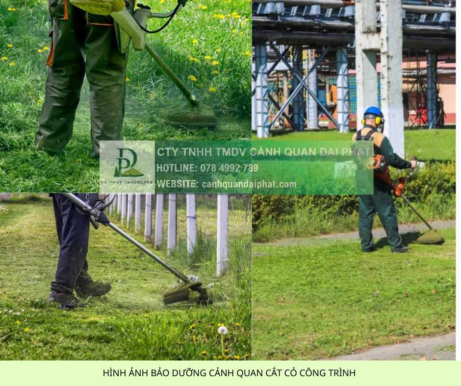 cắt cỏ nhà máy kcn chuẩn 5S, ISO 45001, HSE 4.jpg