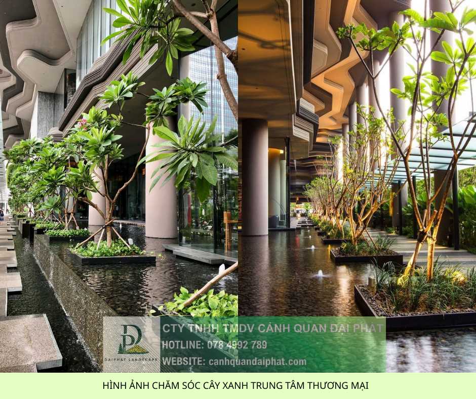 chăm sóc cây xanh trung tâm thương mại 4.jpg