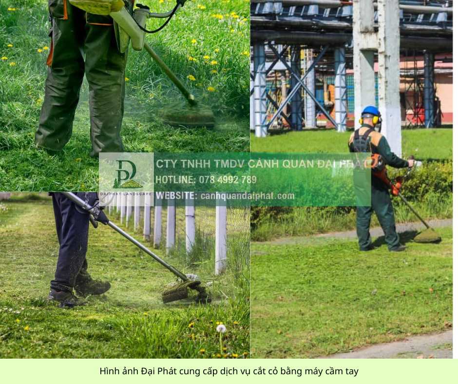 chăm sóc cây xanh kcn công nghệ cao TPHCM 090126 2.jpg