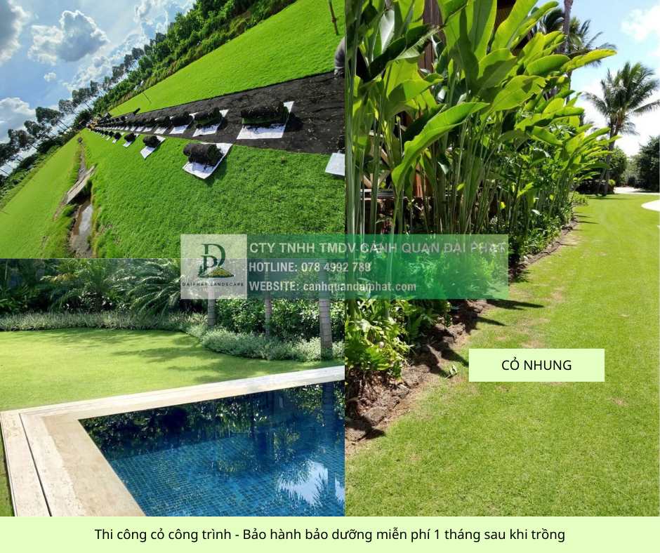 trồng cỏ giá rẻ khu công nghiệp đồng nai 110126 3.jpg