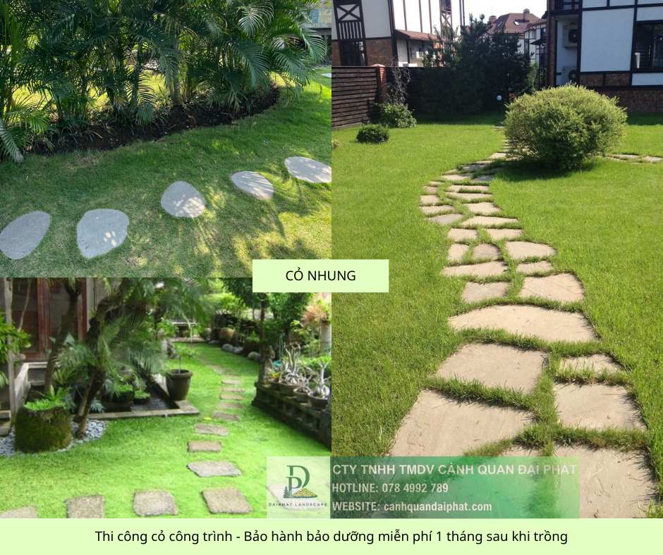 trồng cỏ giá rẻ khu công nghiệp đồng nai 110126 4.jpg