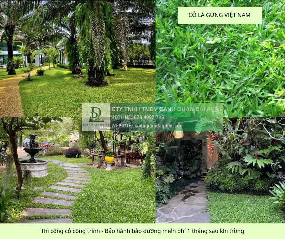 thi công cỏ cây xanh công trình Đồng Nai, Bình Dương, TPHCM, Bà Rịa Vũng Tàu 1.jpg