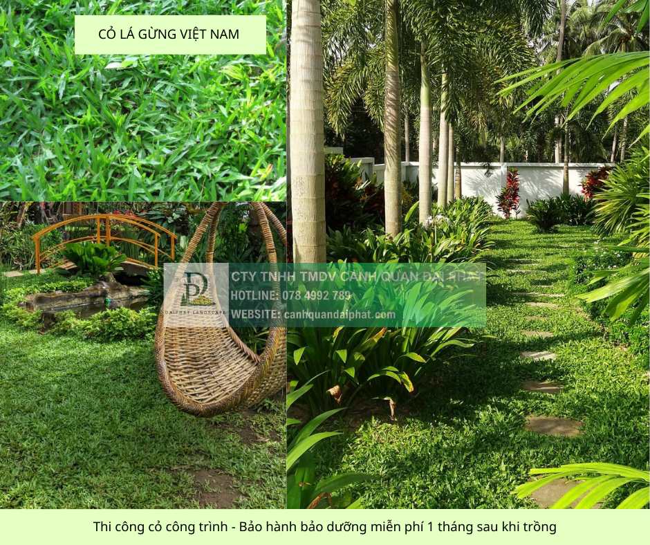 thi công cỏ cây xanh công trình Đồng Nai, Bình Dương, TPHCM, Bà Rịa Vũng Tàu 2.jpg