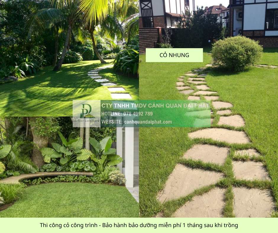 thi công cỏ cây xanh công trình Đồng Nai, Bình Dương, TPHCM, Bà Rịa Vũng Tàu 5.jpg