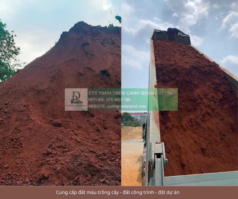 cung cấp đất màu trồng cây  - đất công trình - đất dự án 170126 2.jpg