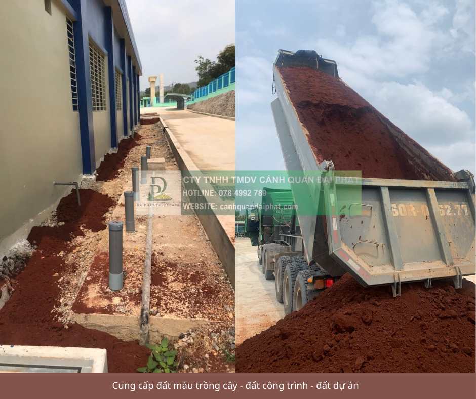 cung cấp đất màu trồng cây  - đất công trình - đất dự án 170126 3.jpg