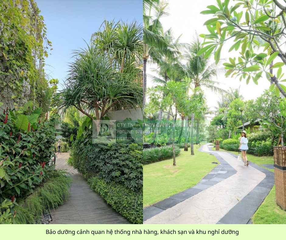 bảo dưỡng cảnh quan biệt thự khu nghĩ dưỡng 2.jpg