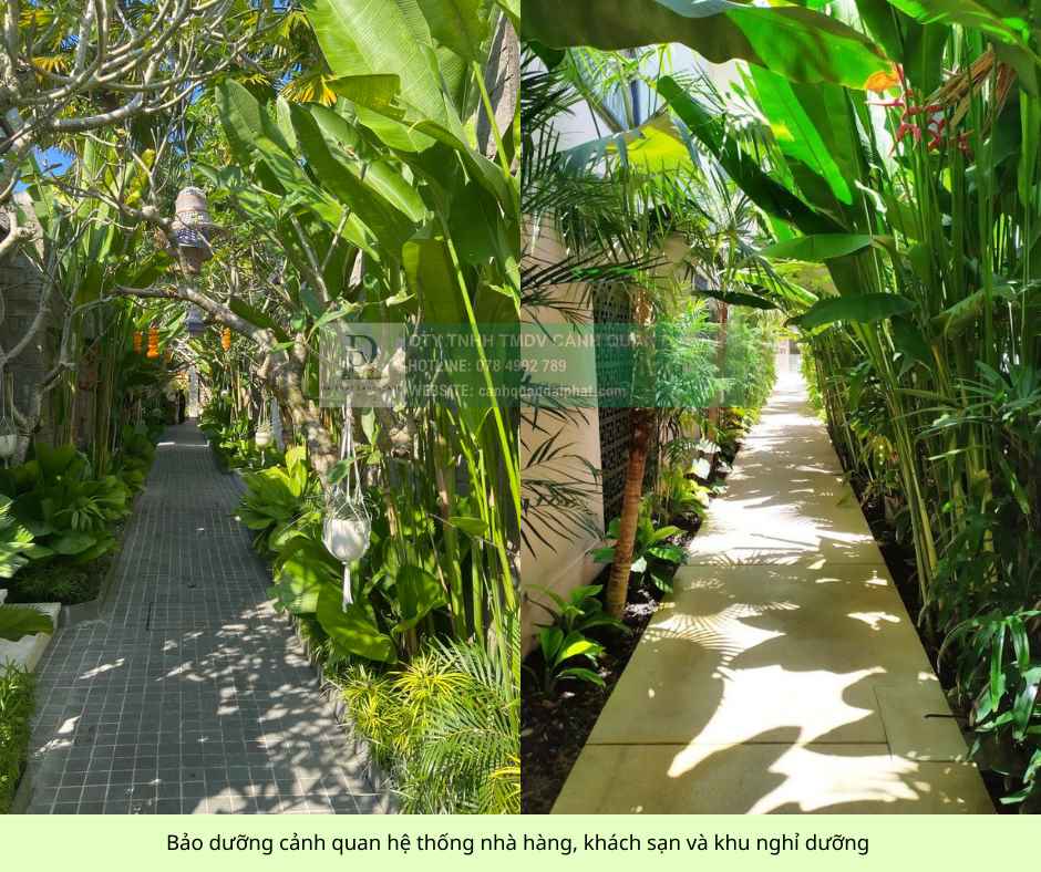 bảo dưỡng cảnh quan biệt thự khu nghĩ dưỡng 3.jpg