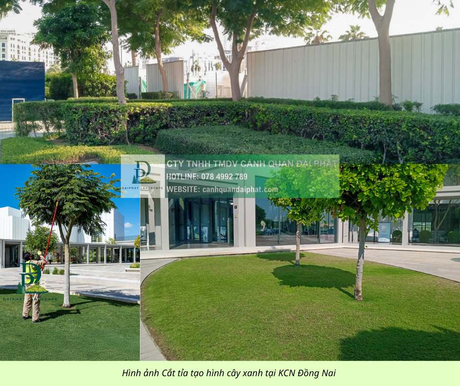 Bảo dưỡng cảnh quan Khu Công nghiệp Đồng Nai 5.jpg