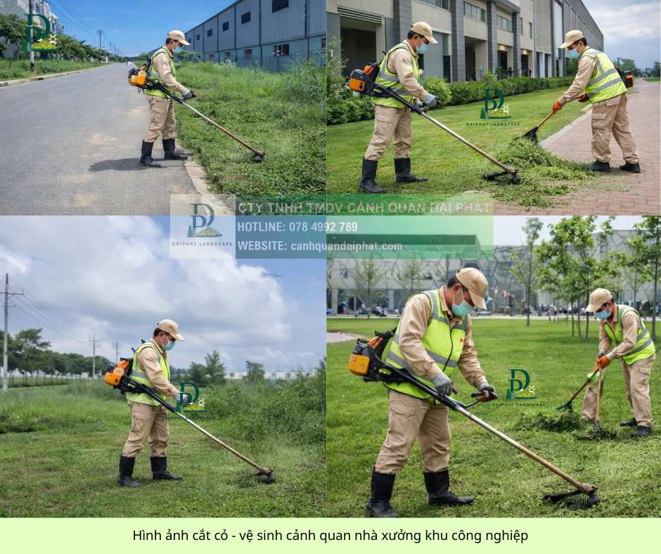 cắt cỏ dọn dẹp vệ sinh cảnh quan 3.jpg