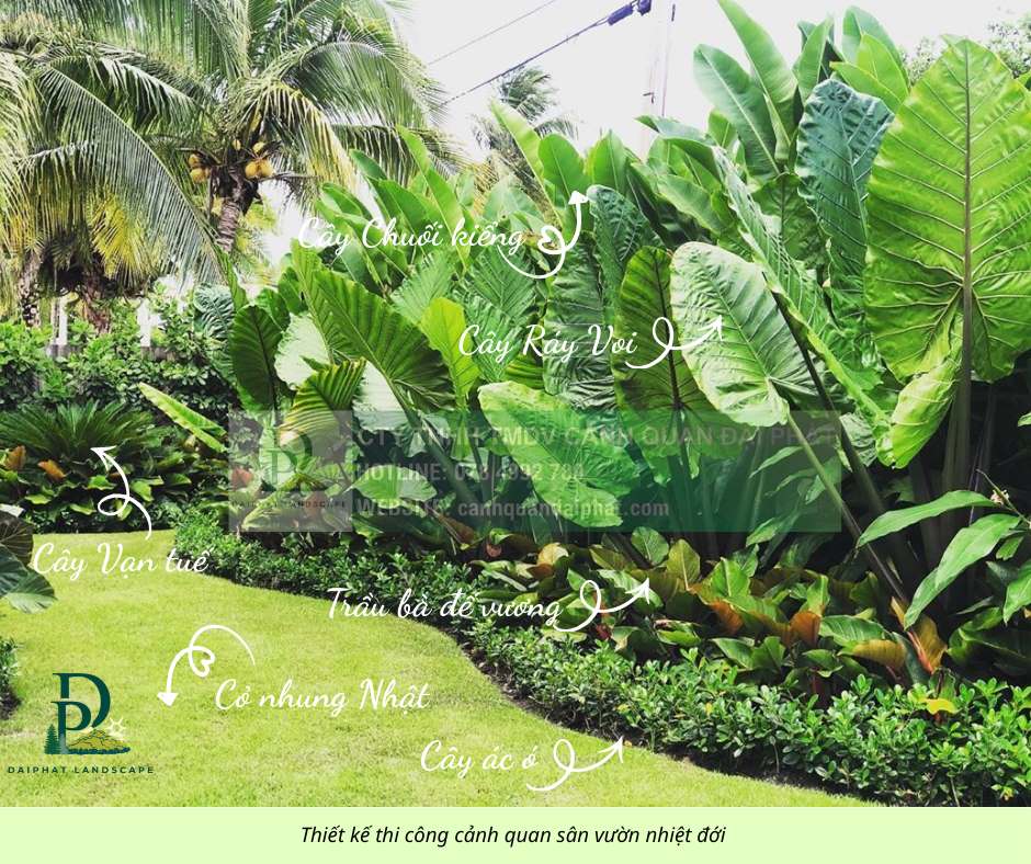 thiết kế thi công cảnh quan sân vườn 290126 1.jpg