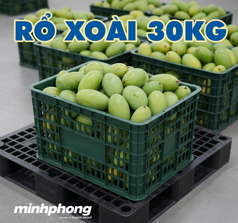ro-xoai-minhphong-3.jpg