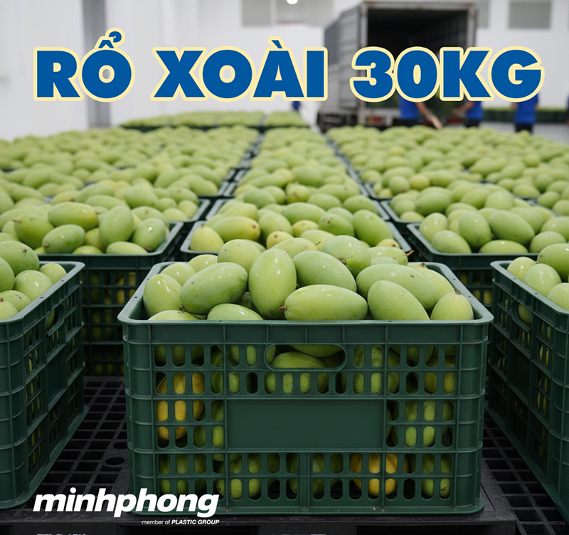 ro-xoai-minhphong-1.jpg